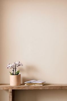 there is a vase with flowers on the top of a shelf next to a book