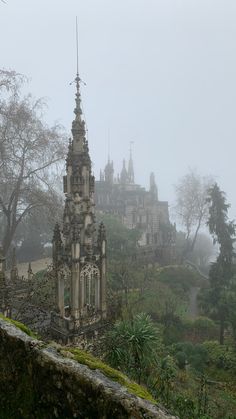 rainy foggy nature and a castle Rainy Castle Aesthetic, Wallpaper Backgrounds Alternative, Rainy Castle, Mysticism Aesthetic, Dark Mystic Aesthetic, Mystical Forest Aesthetic, Foggy Places, Mystical Scenery, Mystical Photography