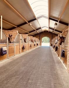 several horses are lined up in stalls at the horse stables, with their stalls open