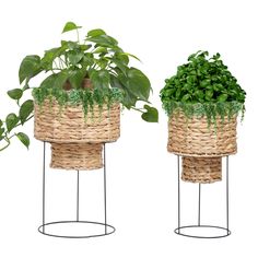 two planters with plants in them on metal stands, one is made out of wicker and the other has green leaves