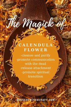 Calendula Flower Magical Properties, Flowers Magical Properties, Calendula Spell Uses, Calendula Witchcraft, Calendula Properties, Calendula Magical Properties, Calendula Magic, Witch Correspondence