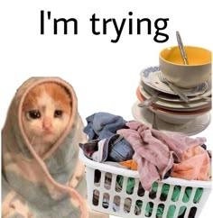 a hamster is wrapped in a towel next to a laundry basket with clothes on it