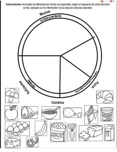 a diagram showing the parts of food in spanish