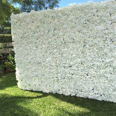 a large white flowered wall in the grass