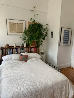 a bed with white sheets and pillows next to a potted plant on the wall