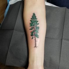 a small pine tree tattoo on the arm