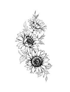 three sunflowers are shown in black and white, with leaves on each side