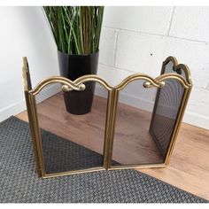 a pair of mirrors sitting on top of a wooden floor next to a potted plant