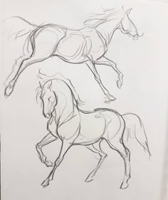 two horses are running in the same direction