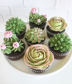 cupcakes decorated with flowers and succulents on a white platter