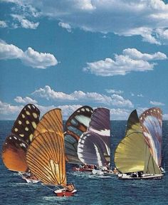 there are many colorful kites in the water