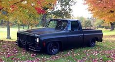 a black truck parked on top of a lush green field next to trees filled with leaves