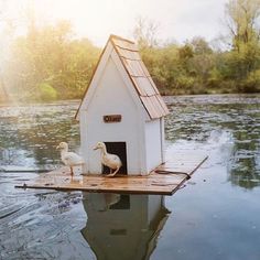 there is a bird house on the water with two birds sitting in front of it