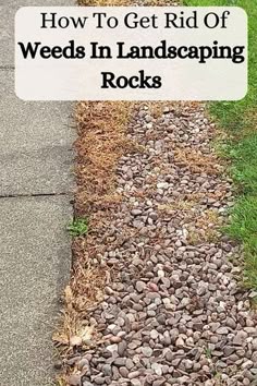 a sidewalk with rocks on the side and text overlay that reads how to get rid of weeds in landscaping rocks