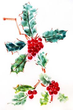 watercolor painting of holly leaves and berries