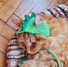 an orange cat wearing a green knitted hat sleeping on top of a stuffed animal