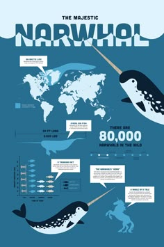 an info poster showing the different types of animals in the world, including penguins and whales