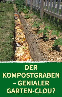 an image of a garden with grass and plants in the ground, which is labeled der kompostgraben genaler - garten - glou?