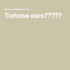 the words tortoise ears are written in white on a beige background with an image of