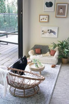 a cat sitting in a basket on top of a rug next to a couch and chair