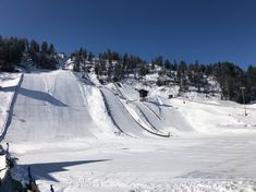 Howelsen Hill is a special spot where Olympic dreams come alive! 🎿 This local favorite has been around for over a century, making it the oldest ski area in North America. Have you visited yet? 🏔️❤️ 

#howelsenhill #steamboatsprings #localgem #skihistory Old Skis, Ski Area, Steam Boats, North America, Springs, Skiing, Old Things, History