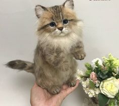 a hand holding a stuffed cat next to a vase filled with flowers and greenery