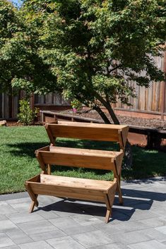 three wooden benches sitting next to each other on a brick walkway in front of a tree