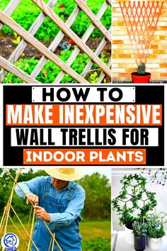 how to make expensive wall trelliss for indoor plants - diy projects and crafts