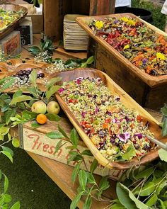 several wooden trays filled with food sitting on top of a lush green field next to trees