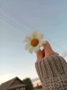 a person holding a flower in their hand