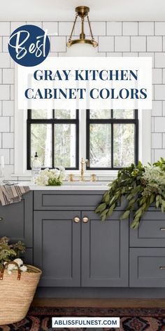 gray kitchen cabinets with plants in the middle and text overlay that reads best gray kitchen cabinet colors