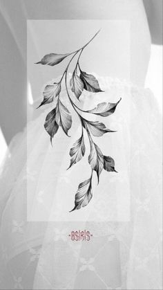 a black and white photo of a woman's stomach with leaves drawn on it