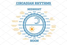 How To Fix Circadian Rhythm, Circadian Rhythm Chart, Regular Rhythm, Circadium Rhythm, How To Regulate Hormones, Environmentally Friendly Living, Magnesium Benefits, Too Much Estrogen, Book Cafe