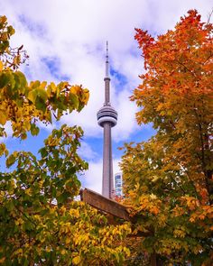 the sky tower is surrounded by trees with leaves turning in different colors on it's sides