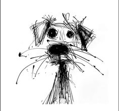 a black and white drawing of a dog's face with long, thin lines