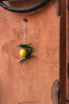 two lemons are hanging on the side of a wall with wire attached to it