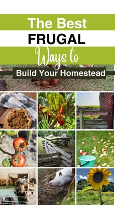 the best frugal ways to build your homesead garden and backyard area