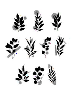 various black and white leaves on a white background