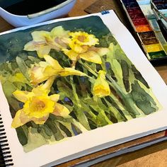 watercolor painting of yellow daffodils on paper