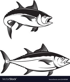 two tunas in black and white with one fish on the left, another fish on the right