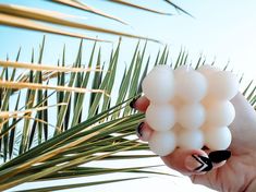 a hand holding a white object in front of some palm leaves and blue sky behind it