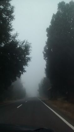 a car driving down a road with trees on both sides and fog in the air