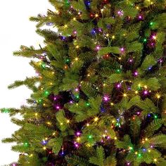 a green christmas tree with multi colored lights