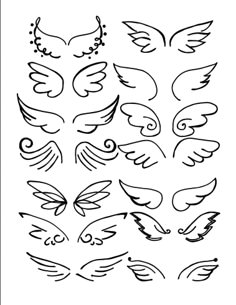 a drawing of different wings and swirls on a white background with the words shutterstock com 101387988