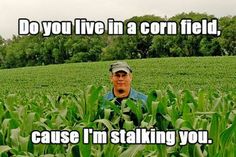 a man standing in the middle of a corn field with text that reads, 9 using bad pickup lines do you live in a corn field, cause i'm stalking you