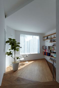 an empty room with bookshelves and a potted plant