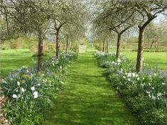 the path is lined with trees and flowers