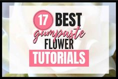 white flowers with the words 17 best gumpaste flower tutors on top of it