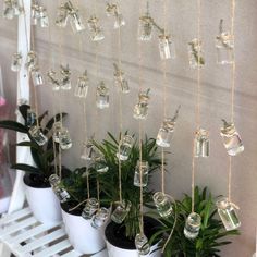 some plants are hanging from the side of a wall with glass bottles attached to them