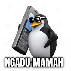 a penguin holding a cell phone with the caption, no one likes it ngadu mammah